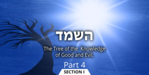 The-Tree-of-the-Knowledge-Part-4_SectionI